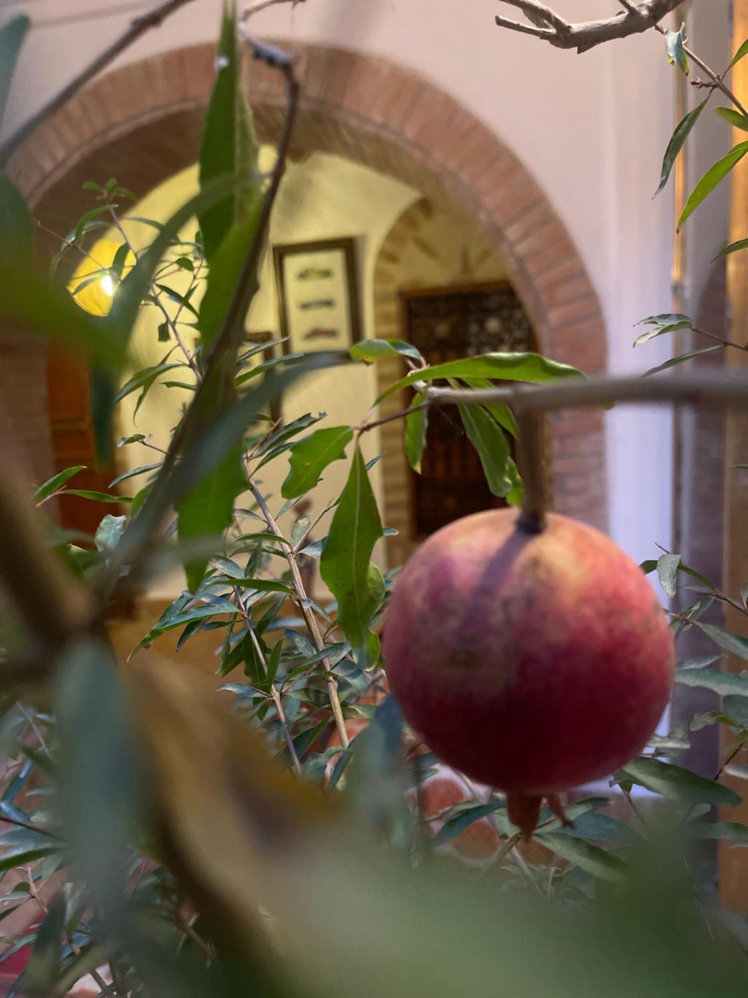 La Maison Berber Shams Маракеш Екстериор снимка